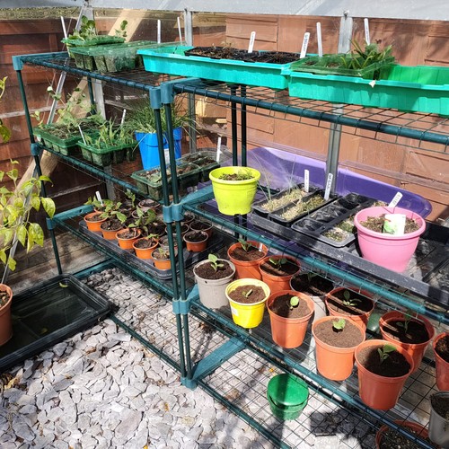 Woodside greenhouse - x,